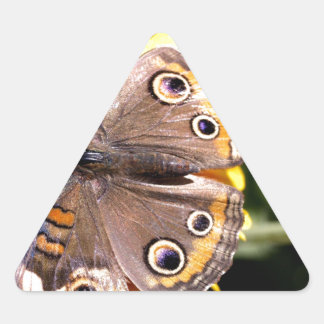 Sticker Triangulaire Papillon Brown coloré avec plusieurs yeux