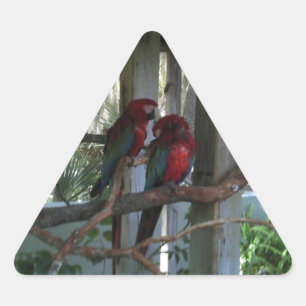 Sticker Triangulaire Perroquet