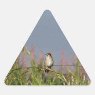 Sticker Triangulaire Petit colibri gras