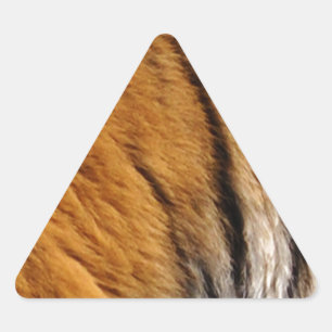 Sticker Triangulaire Photo Tiger Stripes Big Cat Wildlife