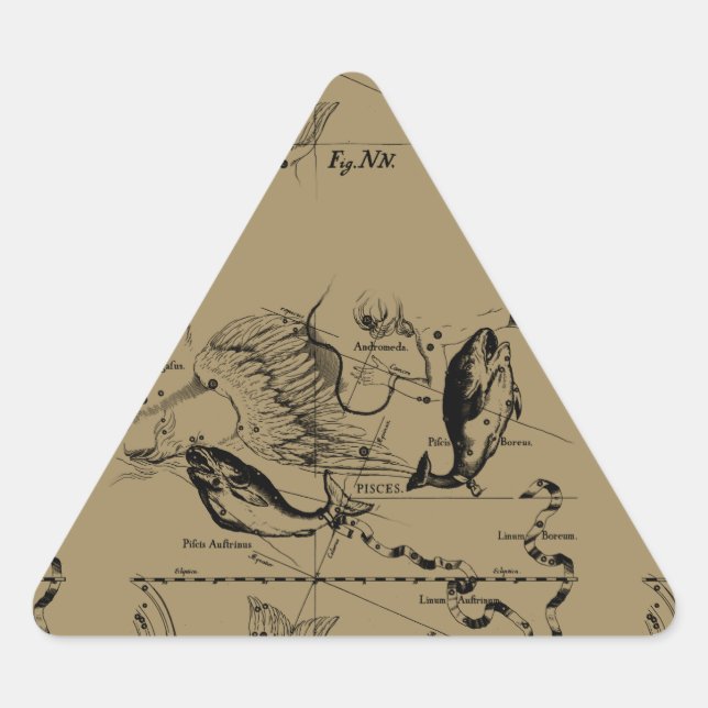 Sticker Triangulaire Poissons Constellation Hevelius 1690 Décor (Devant)
