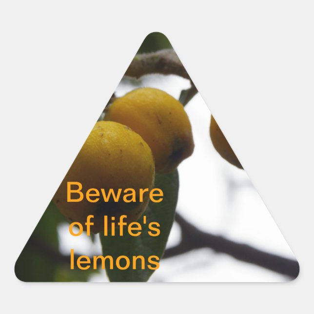 Sticker Triangulaire Quand La Vie Vous Donne Des Citrons... (Devant)
