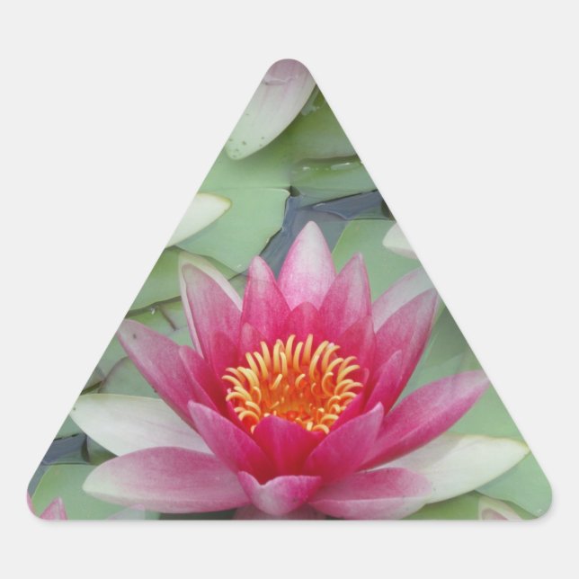 Sticker Triangulaire Rose Lotus Water Lily (Devant)