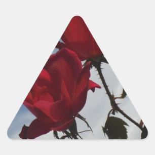 Sticker Triangulaire Roses rouges contre un ciel bleu vif