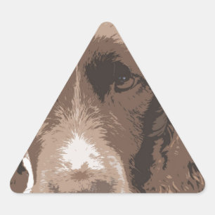 Sticker Triangulaire Springer anglais
