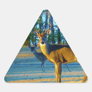 Sticker Triangulaire Stade / Buck Deer, Ciel bleu clair