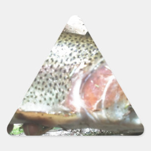 Sticker Triangulaire Truite arc-en-ciel