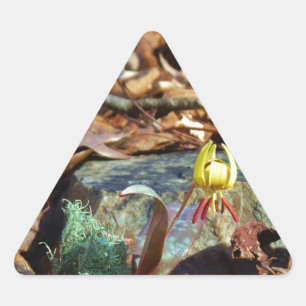 Sticker Triangulaire Truite jaune et prune Lily et Coquille d'escargot