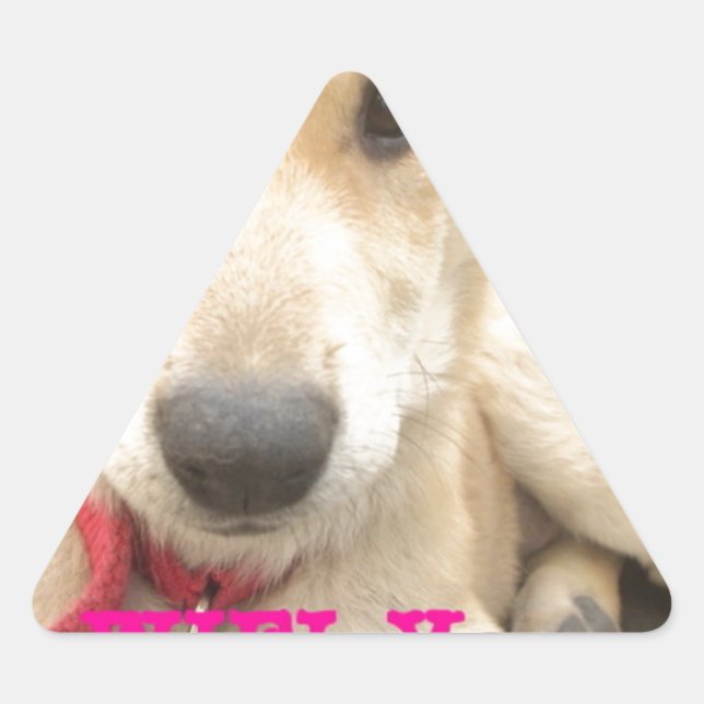 Sticker Triangulaire Tu Devrais WIFI Ton Amour Tous Les Jours (Devant)