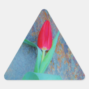 Sticker Triangulaire Tulipe rouge sur ardoise gris bleu