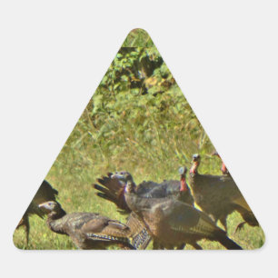 Sticker Triangulaire Turquie sauvage, couleurs du Camouflage