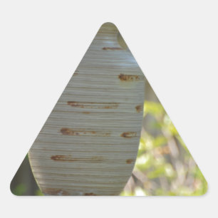 Sticker Triangulaire Vie morte