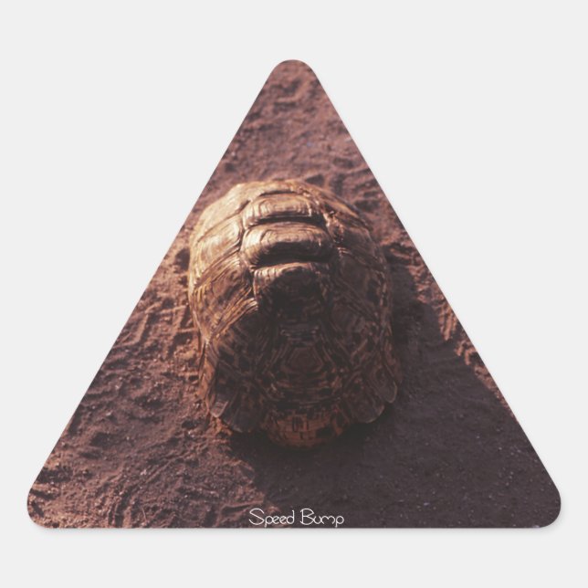 Sticker Triangulaire Vitesse (Devant)