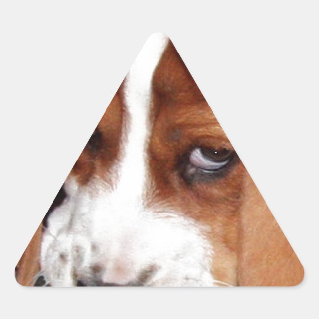 Sticker Triangulaire Votre image ici (Devant)