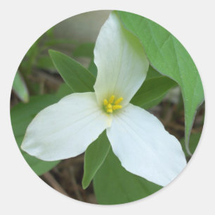 Sticker Trillium