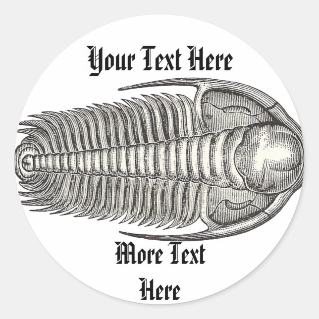 Sticker Trilobite vintage (Devant)