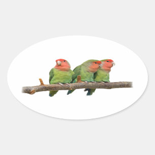 Sticker Trio Tweet