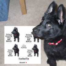 Trop mignon pour être mauvais Chien Noir Chien Chi