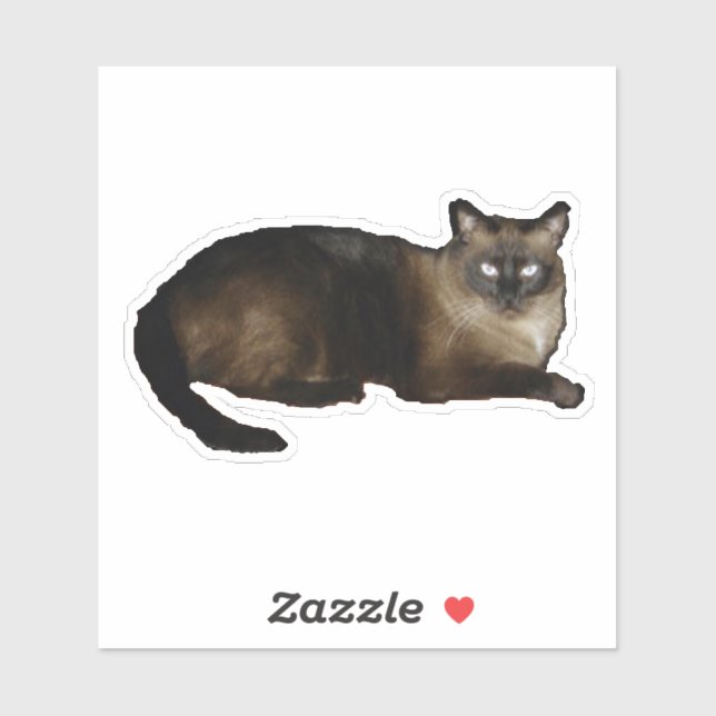 Sticker Tucker (Feuille)