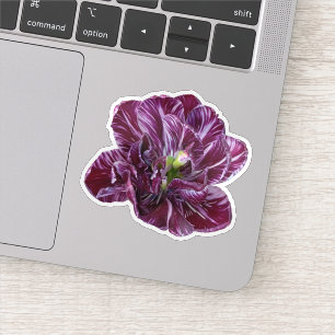 Sticker Tulipe Florale Lila Violet