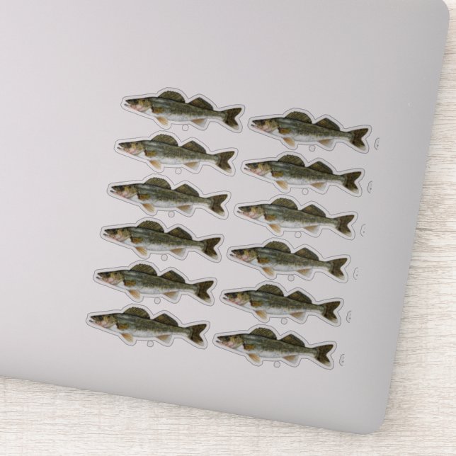 Sticker Une douzaine de brochettes de walleye (Détail)