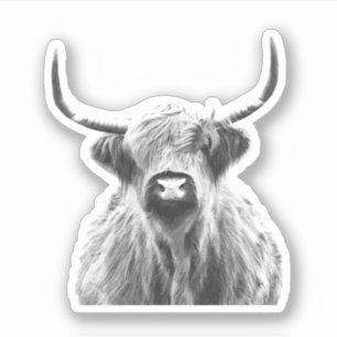 Sticker Vaches noires et blanches