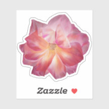 Vibrant Pastel Rose Illustration personnalisée