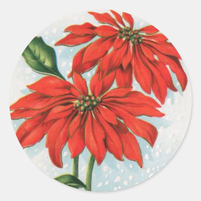 sticker vintage poinsettia fleur noël (Devant)