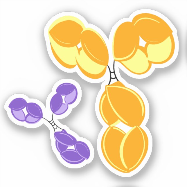 sticker vinyle - jaune IgG (anticorps) avec bonus (Recto)