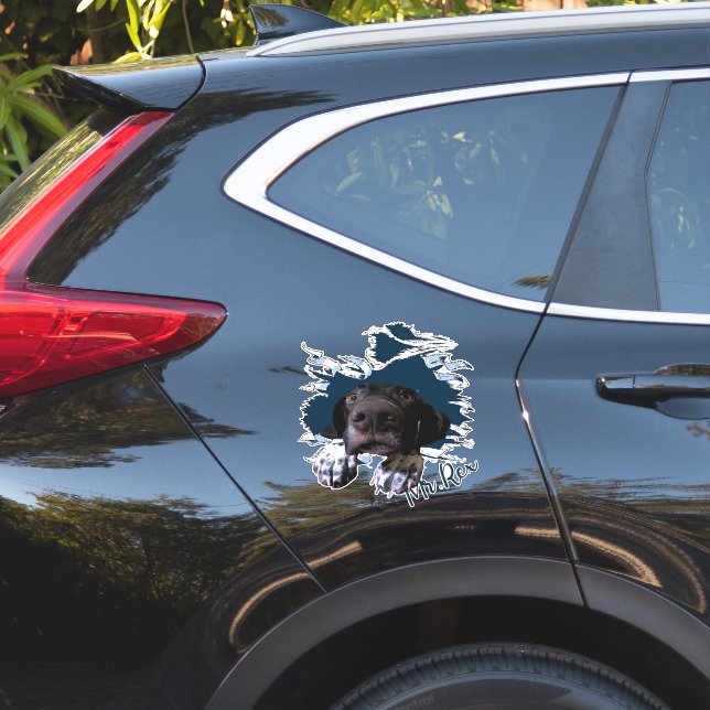 Sticker visage de chien de Fanny (Coté voiture)