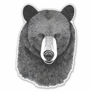Sticker Visage de l'ours noir dessin original de l'art ani