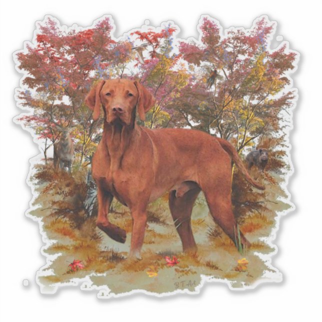 Sticker Vizsla (Devant)