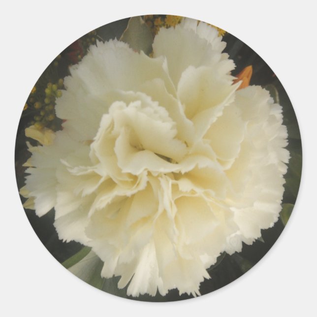 Sticker White Carnation Beauté (Devant)
