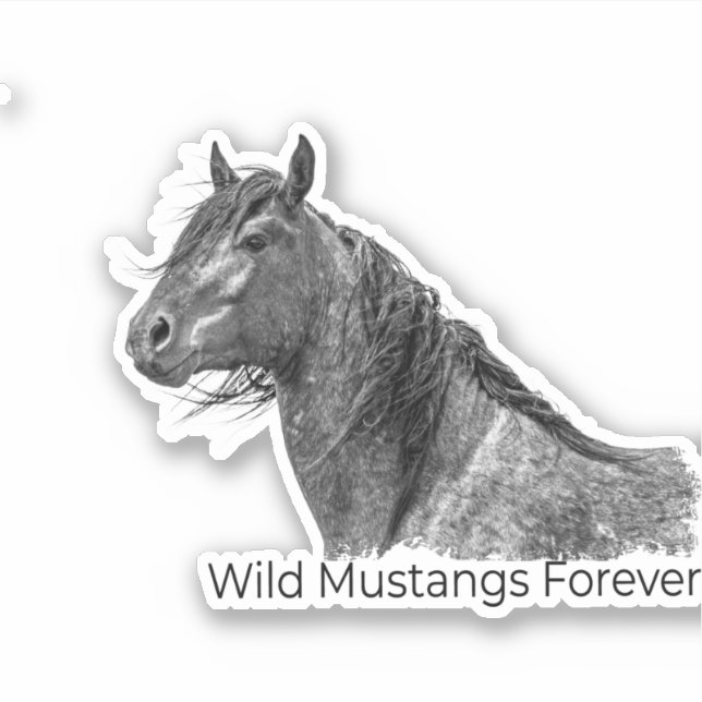 Sticker Wild Mustangs (Devant)
