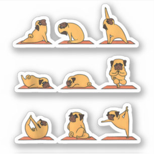 Sticker Yoga chiot Yoga Pug Poses et méditation Pug drôle