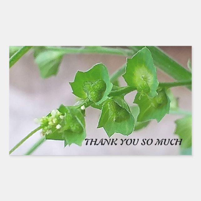 STICKER ZUM DANKEN (Vorderseite)