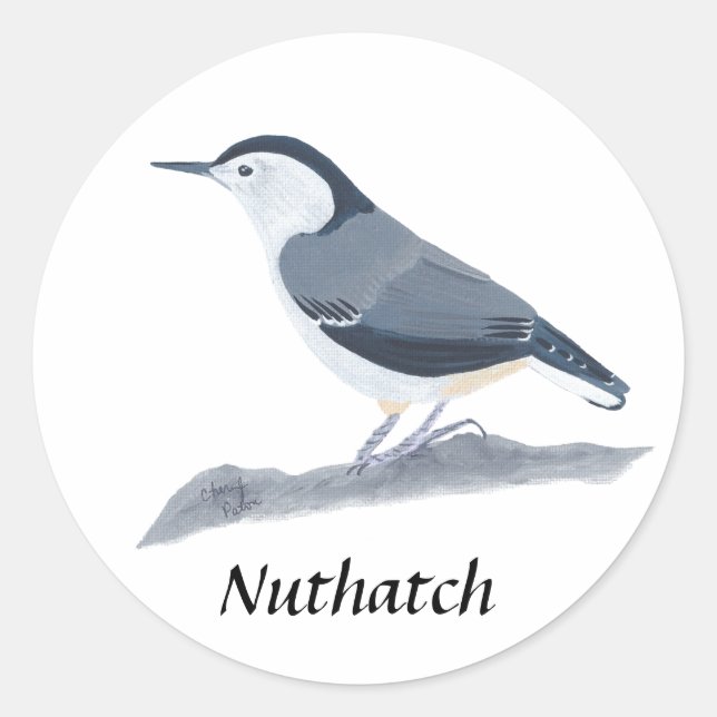 Stickereien für Vogel-Vogelschmuck Runder Aufkleber (Vorderseite)