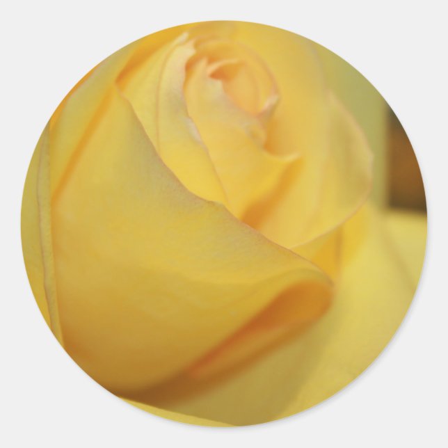 Stickers à enveloppe de rose jaune (Devant)