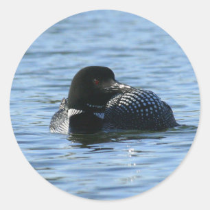 Stickers à gros huards