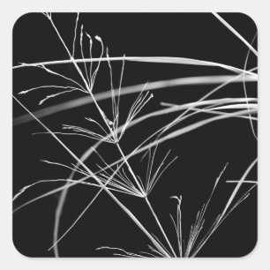Stickers Abstraits de nature noire et blanche