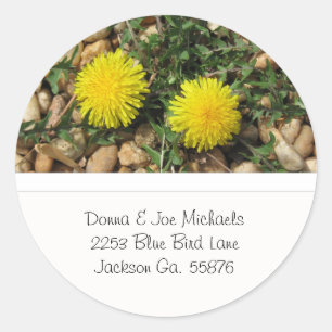 Stickers Adresse Dandelions