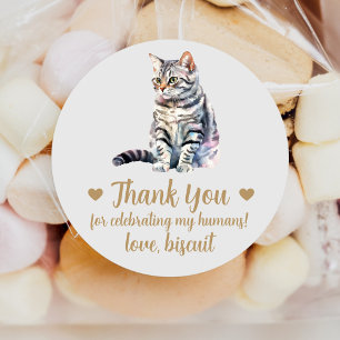 Stickers American Shorthair Cat Wedding Favoriser