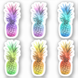 Stickers ananas colorés