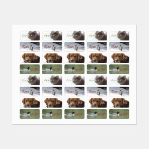 Stickers Animaux Personnalisables