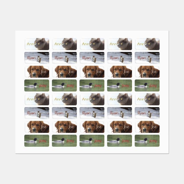 Stickers Animaux Personnalisables (Feuille)
