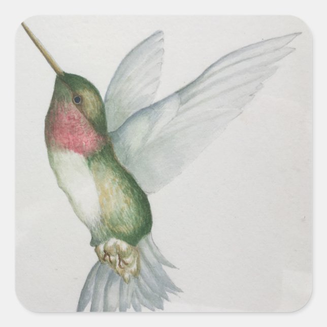 Stickers Aquarelle Elégante Colibri Ailes (Devant)