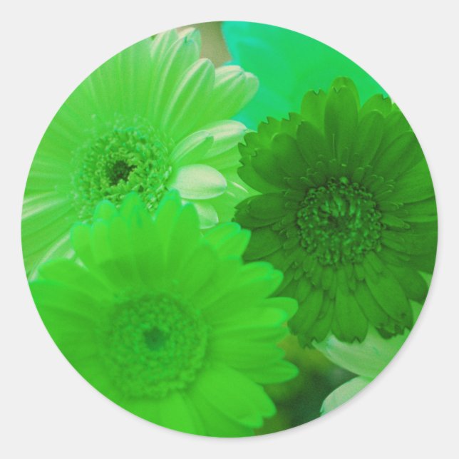 Stickers Art Décal Gerbera Vert Fleurs Faisées (Devant)