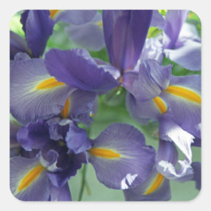 Stickers Art Décal Violet Irises