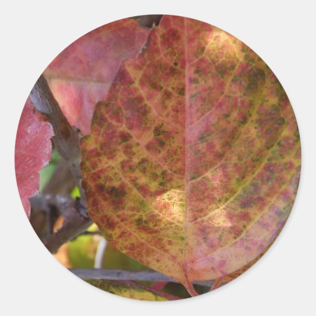 Stickers Automne (Devant)