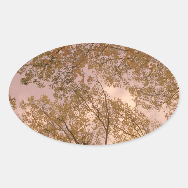 Stickers 'Automne Rose' (Devant)